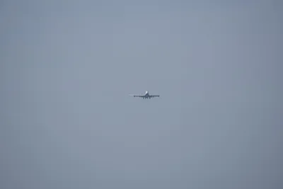 DSC_9573 (Large).JPG
